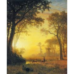 Light in the Forest Painting Reproduction