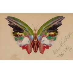 Butterfly Painting Reproduction
