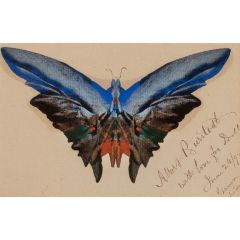Butterfly, For Dell Painting Reproduction