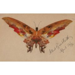 Butterfly Painting Reproduction