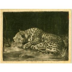 A Cheetah Sleeping Painting Reproduction