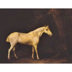 Horse in the Shade of a Wood Painting Reproduction