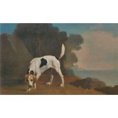 Foxhound Painting Reproduction