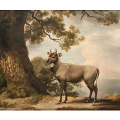 The Nilgai Painting Reproduction