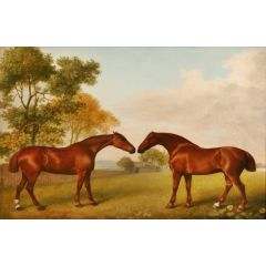 Two Horses in a Paddock Painting Reproduction