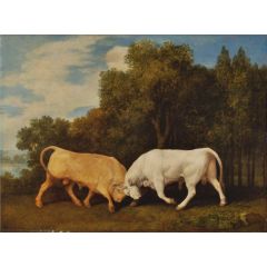 Bulls Fighting Painting Reproduction