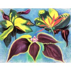 Tropical Plants Painting Reproduction
