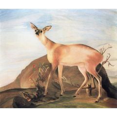 Deer Painting Reproduction