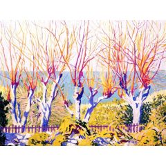 Tamarisk, Pride of India, Bermuda Painting Reproduction