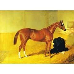 Our Nell, A Bay Racehorse in a Stable Painting Reproduction