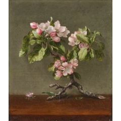 Apple Blossoms Painting Reproduction