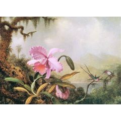 Orchids and Hummingbirds Painting Reproduction