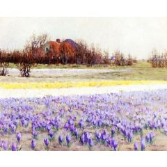 A Field of Crocusses Painting Reproduction