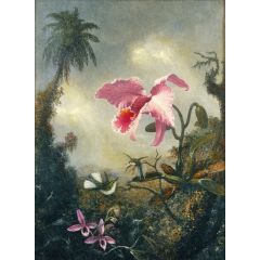 Two Hummingbirds, Two Types of Orchids and a Palm Tree Painting Reproduction