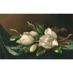 Magnolias on Light Blue Velvet Cloth Painting Reproduction