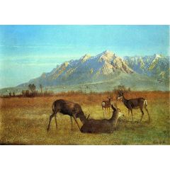 Deer in a Mountain Home Painting Reproduction