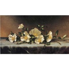 Cherokee Roses on a Light Gray Cloth Painting Reproduction