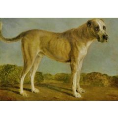 Hunting Dog Painting Reproduction