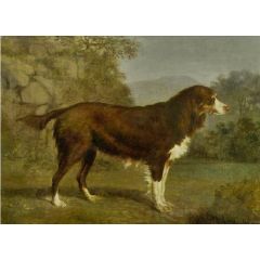 Dog in a Landscape Painting Reproduction