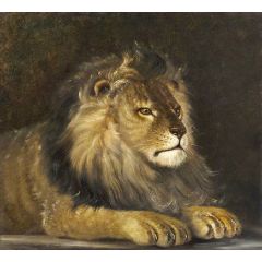 A Lion Painting Reproduction