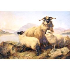 Sheep and Lambs Painting Reproduction