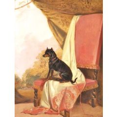 Tiny’, a Manchester Terrier Painting Reproduction