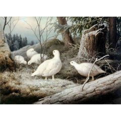 Ptarmigans Painting Reproduction