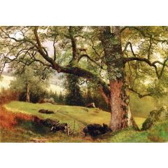 A Trail through the Trees Painting Reproduction