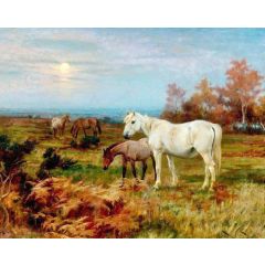 Horses in a Paddock Painting Reproduction