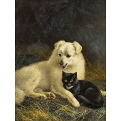 Cat and Dog Painting Reproduction