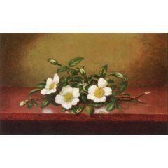 Cherokee Roses on a Shiney Table Painting Reproduction
