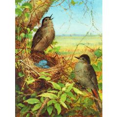 Thrushes Nest Painting Reproduction