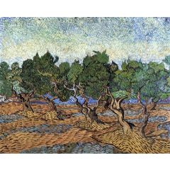 Olive Grove Painting Reproduction