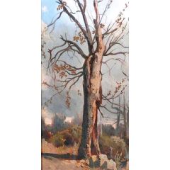 Study of a Tree Painting Reproduction