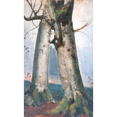 Study of Trees Painting Reproduction
