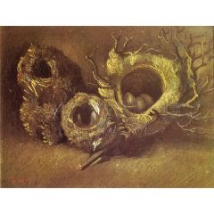 Still Life with Three Birds’ Nests Painting Reproduction