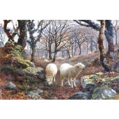Sheep on a Wooded Hillside Painting Reproduction
