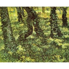 Trunks of Trees with Ivy Painting Reproduction