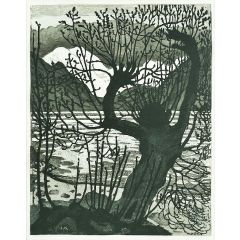 Spring Night and Sallow Painting Reproduction