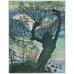 Spring Night and Sallow Painting Reproduction