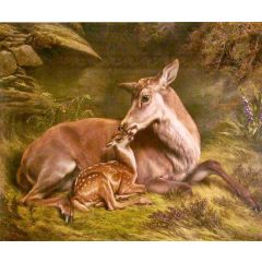 Fallow Deer with Fawn Painting Reproduction