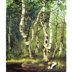 Old Birches Painting Reproduction