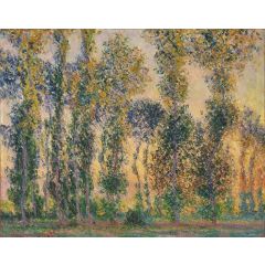 Poplars at Giverny, Sunrise Painting Reproduction