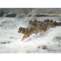 A Pack of Wolves Painting Reproduction