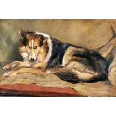 Collie Dog Painting Reproduction