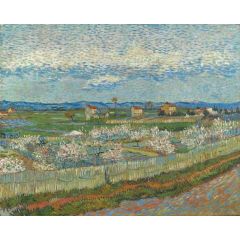 La Crau with Peach Trees in Bloom Painting Reproduction