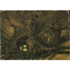 Still Life with Birds’ Nests Painting Reproduction