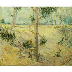 Trees on a Slope Painting Reproduction
