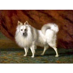 The White Dog Painting Reproduction