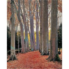 Avenue of Plane Trees Painting Reproduction